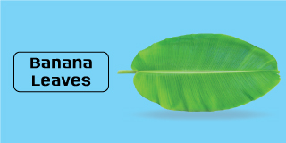 Banana-Leaves